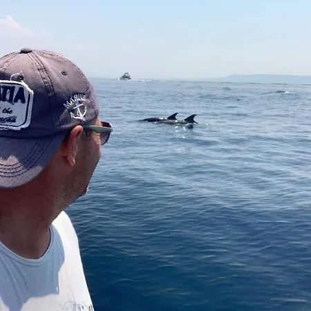 Willa Seahouse Albertina Selca (Brac)