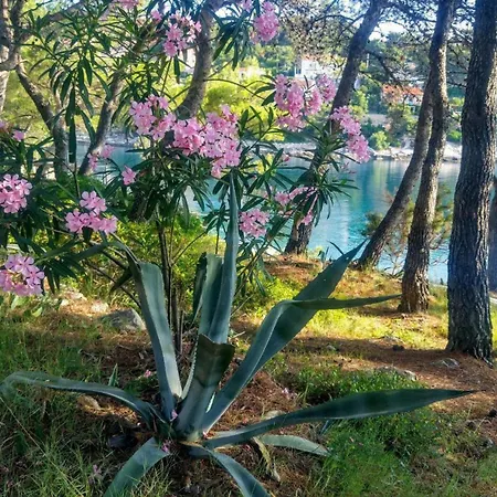 Villa Seahouse Albertina *