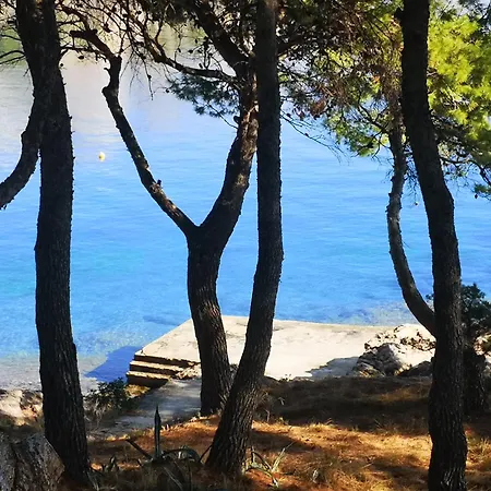 Seahouse Albertina * Selca (Brac)