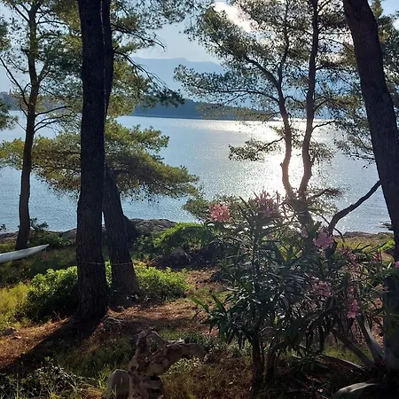 Seahouse Albertina Villa